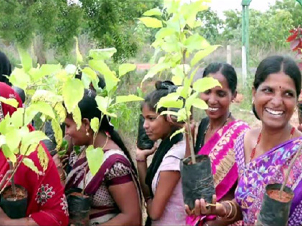 Mission Sasyashyamala